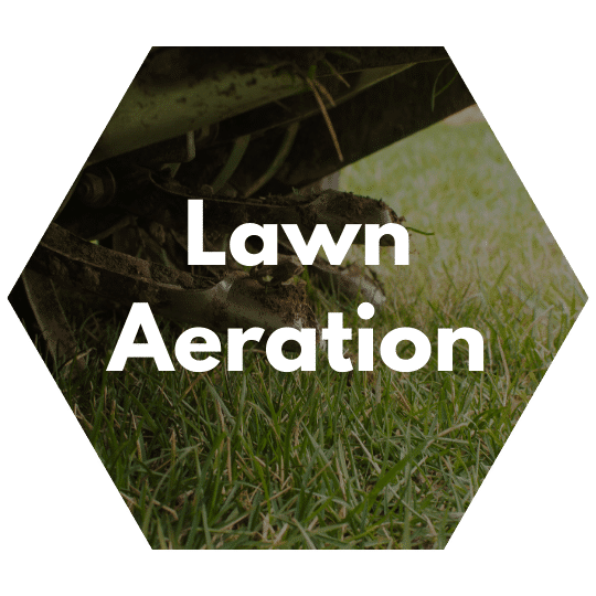 https://www.colincanhelp.com/wp-content/uploads/2023/09/lawn-aeration.png