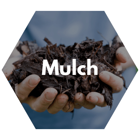 https://www.colincanhelp.com/wp-content/uploads/2023/09/mulch-1.png