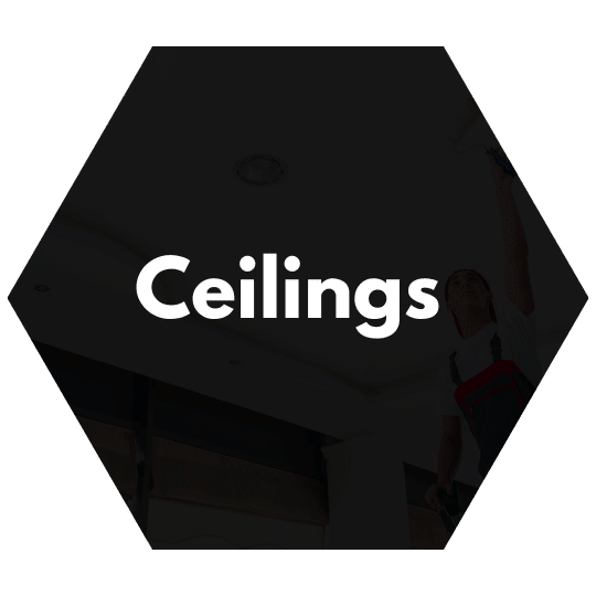 https://www.colincanhelp.com/wp-content/uploads/2023/11/ceilings-1.png