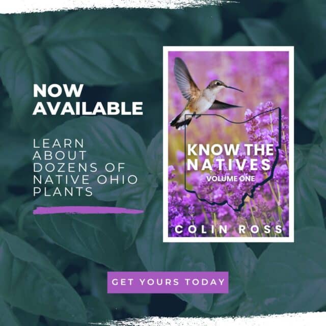 Promotional image for 'Know the Natives Volume One' by Colin Ross, featuring a hummingbird and vibrant native Ohio plants in the background.