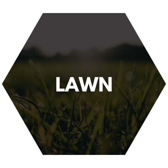 Hexagon icon with the word "Lawn" over an image of green grass.