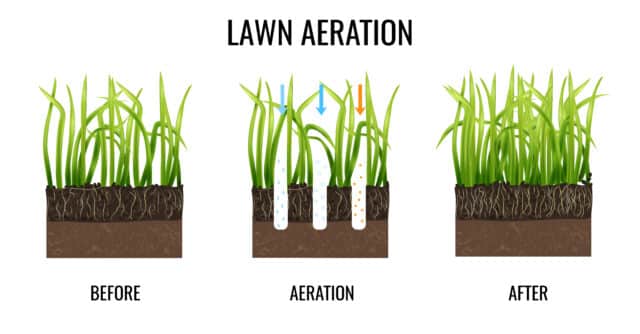 Diagram showing the lawn aeration process with three stages: before aeration, during aeration with soil plugs removed, and after with improved grass growth and roots.