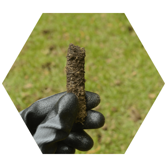 Gloved hand holding a soil plug removed during the lawn aeration process, with grass visible in the background.