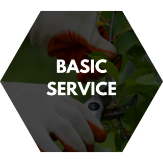 Basic bush trimming service featuring gloved hands using pruning shears to cut small branches and leaves