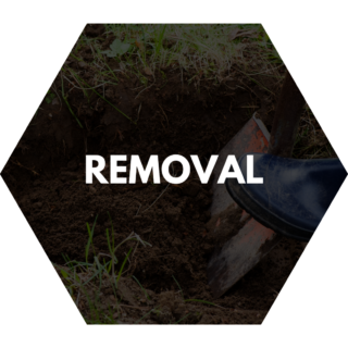 Bush removal service featuring a shovel digging into soil to uproot a plant or bush.