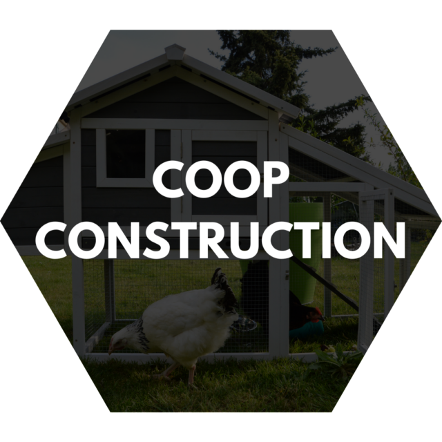 https://www.colincanhelp.com/wp-content/uploads/2024/12/CHICKEN-COOP-CONSTRUCTION-640x640.png