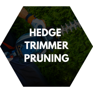 Professional hedge trimmer pruning service featuring an electric hedge trimmer shaping dense green bushes.