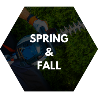 Spring and Fall yard maintenance with a focus on hedge trimming, featuring a person using an electric hedge trimmer near evergreen bushes.